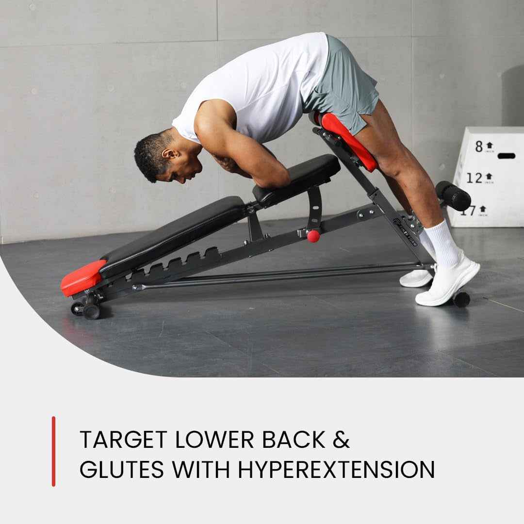 Finer Form Multi-Functional Adjustable FID Weight Bench and Roman Chair